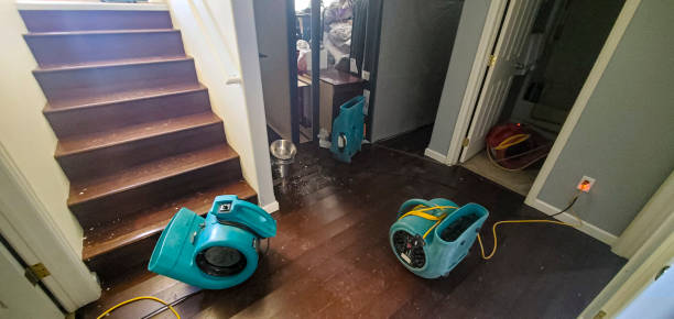 Best Water damage restoration process  in Interlaken, CA