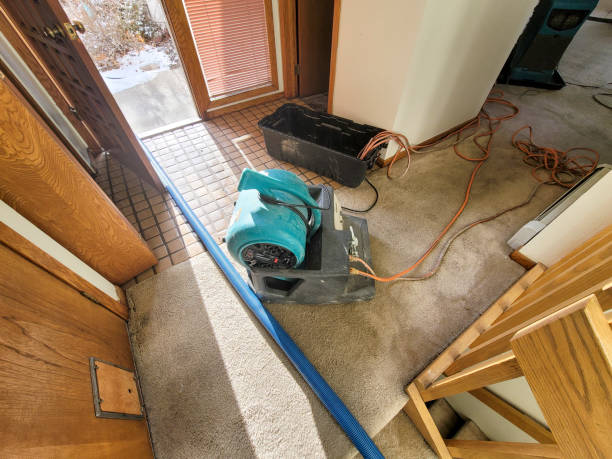 Best Water damage contractors near me  in Interlaken, CA