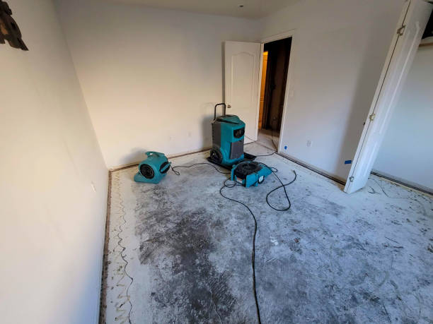 Best Professional water damage repair  in Interlaken, CA