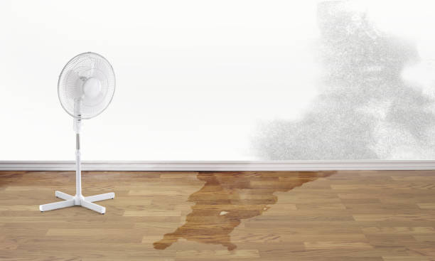 Best Basement water damage restoration  in Interlaken, CA