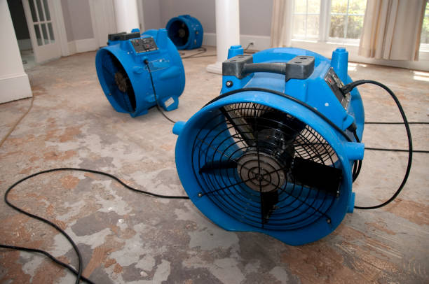Best Mold removal after water damage  in Interlaken, CA