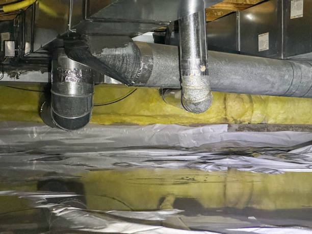 Best Water damage cleanup near me  in Interlaken, CA