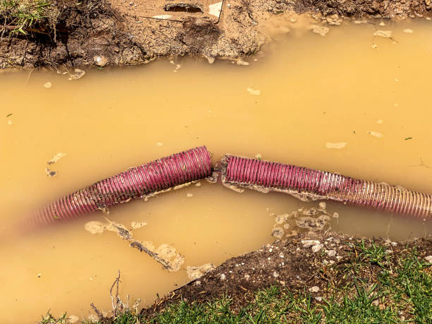 Best Water damage restoration near me  in Interlaken, CA