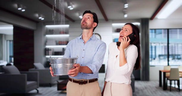 Best Water damage cleanup near me  in Interlaken, CA