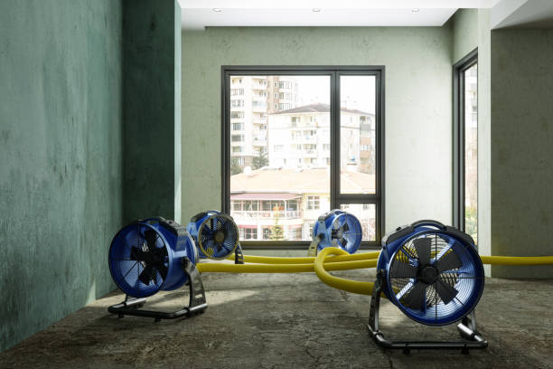 Water damage restoration process in CA